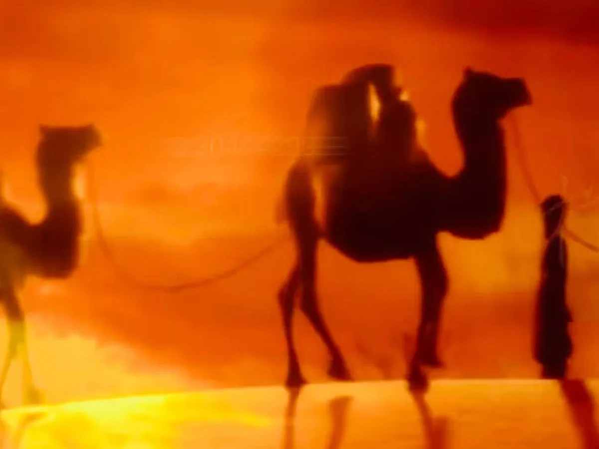 Silk Road Adventure