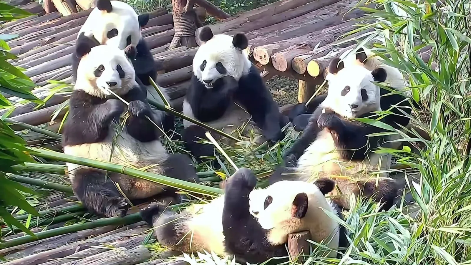 13-Day China Adventure Private Tour