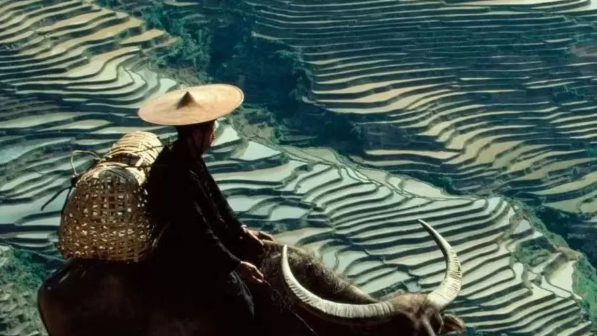 8-Day Yunnan Private Tour: Kunming, Dali, Lijiang & Shangri-La