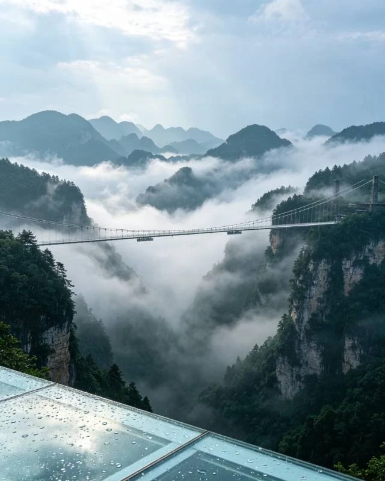 Tianzi Mountain and Scenic Viewpoints